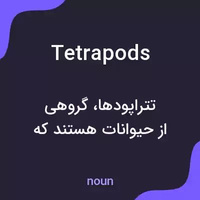 معنی tetrapods به فارسی معنی tetrapods به فارسی