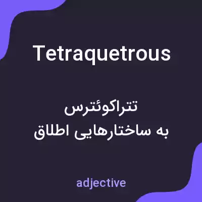 معنی tetraquetrous به فارسی معنی tetraquetrous به فارسی
