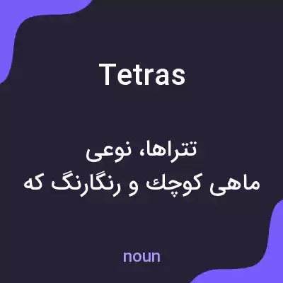 معنی tetras به فارسی