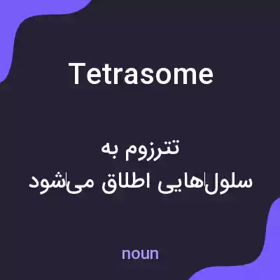 معنی tetrasome به فارسی معنی tetrasome به فارسی