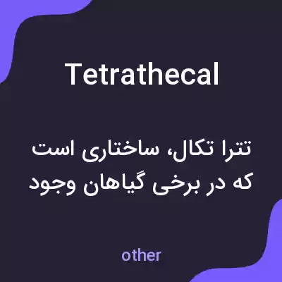معنی tetrathecal به فارسی معنی tetrathecal به فارسی