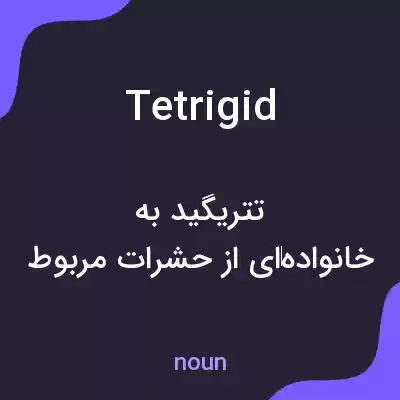 معنی tetrigid به فارسی