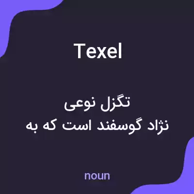 معنی texel به فارسی معنی texel به فارسی