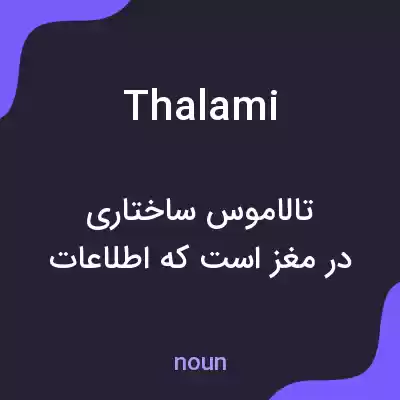 معنی thalami به فارسی معنی thalami به فارسی