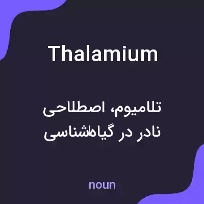 معنی thalamium به فارسی