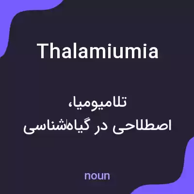معنی thalamiumia به فارسی معنی thalamiumia به فارسی