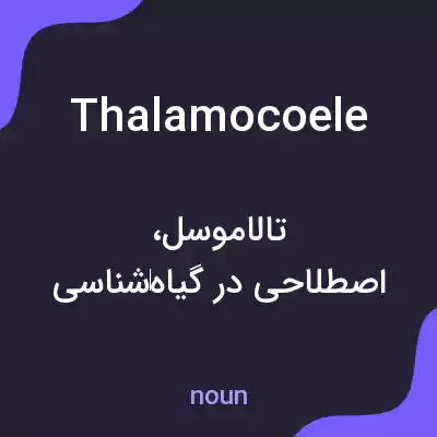 معنی thalamocoele به فارسی معنی thalamocoele به فارسی