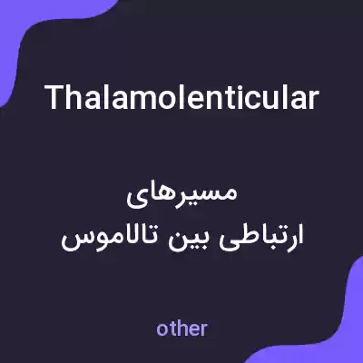 معنی thalamolenticular به فارسی معنی thalamolenticular به فارسی