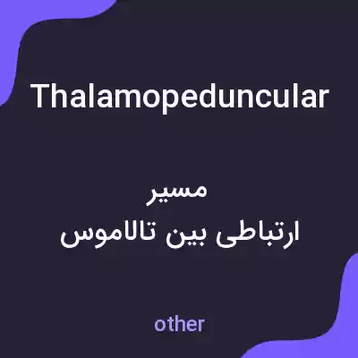 معنی thalamopeduncular به فارسی