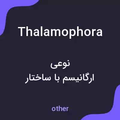 معنی thalamophora به فارسی معنی thalamophora به فارسی