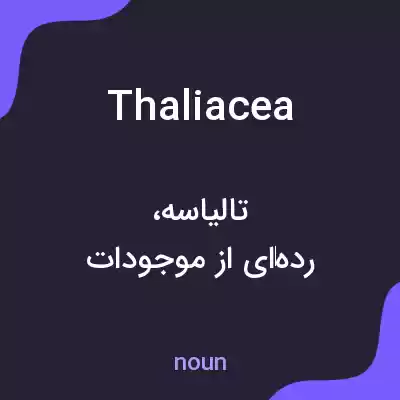 معنی thaliacea به فارسی