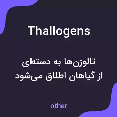 معنی thallogens به فارسی معنی thallogens به فارسی