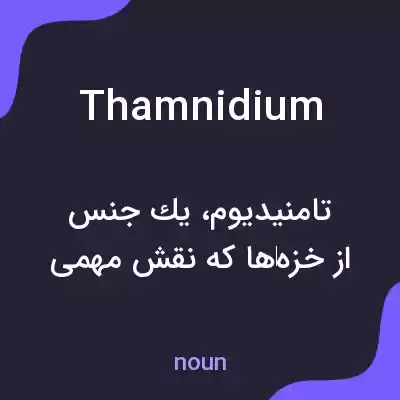 معنی thamnidium به فارسی معنی thamnidium به فارسی