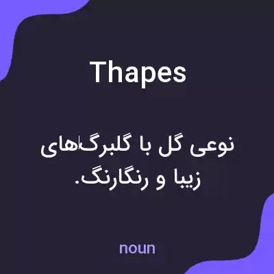 معنی thapes به فارسی معنی thapes به فارسی