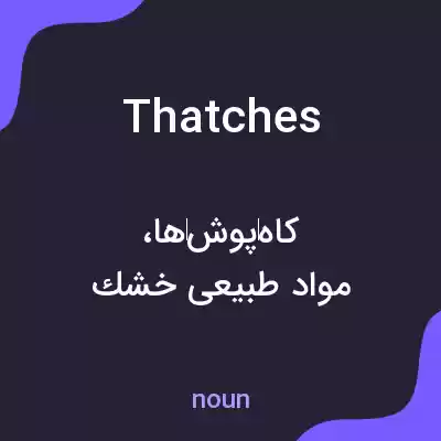 معنی thatches به فارسی معنی thatches به فارسی