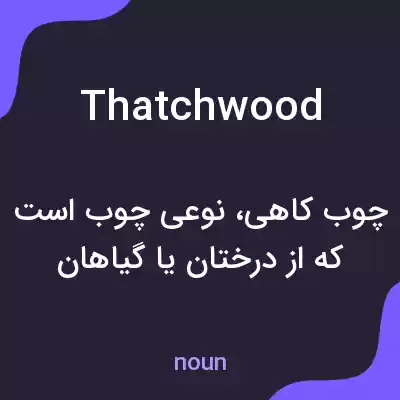 معنی thatchwood به فارسی معنی thatchwood به فارسی
