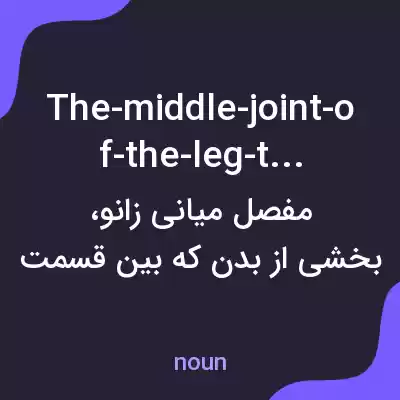 معنی the-middle-joint-of-the-leg-that-a به فارسی