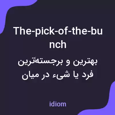 معنی the-pick-of-the-bunch به فارسی