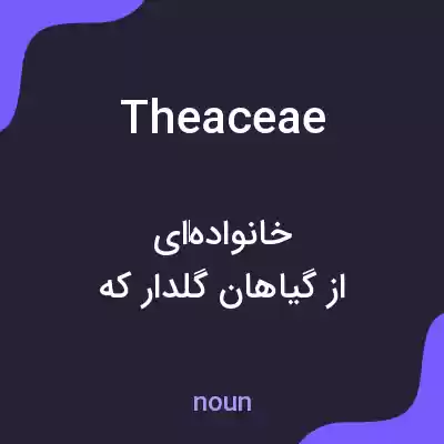 معنی theaceae به فارسی معنی theaceae به فارسی