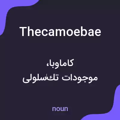 معنی thecamoebae به فارسی معنی thecamoebae به فارسی