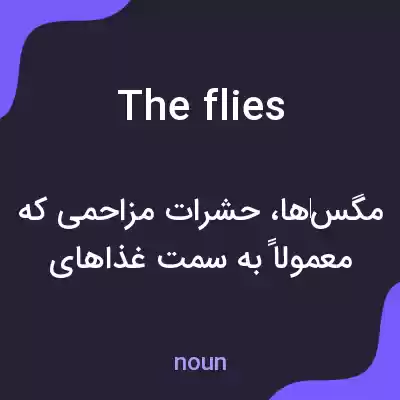 معنی the flies به فارسی معنی the flies به فارسی