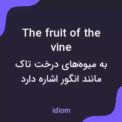 معنی the fruit of the vine به فارسی معنی the fruit of the vine به فارسی