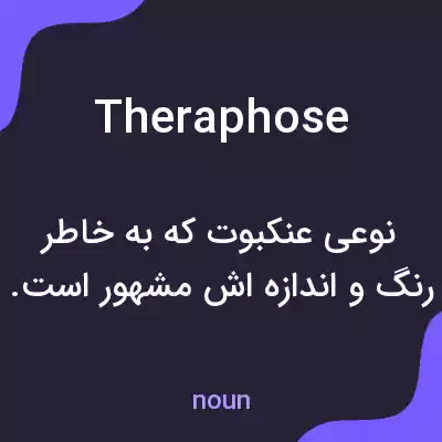 معنی theraphose به فارسی معنی theraphose به فارسی