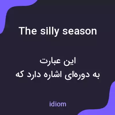 معنی the silly season به فارسی معنی the silly season به فارسی