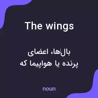معنی the wings به فارسی معنی the wings به فارسی