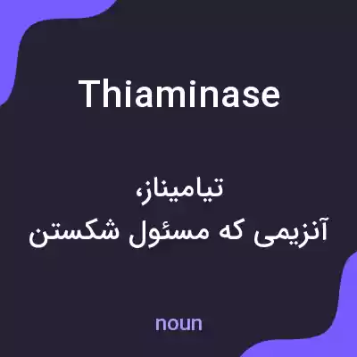 معنی thiaminase به فارسی معنی thiaminase به فارسی
