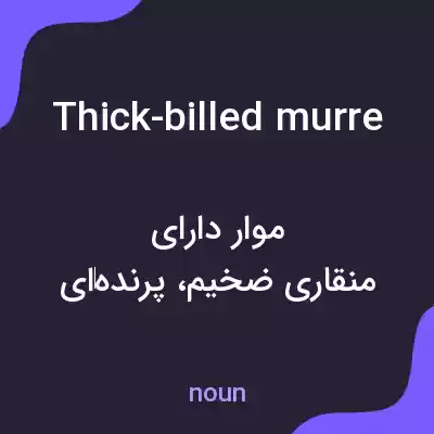 معنی thick-billed murre به فارسی معنی thick-billed murre به فارسی