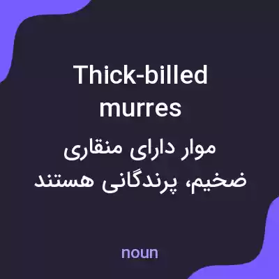 معنی thick-billed murres به فارسی معنی thick-billed murres به فارسی