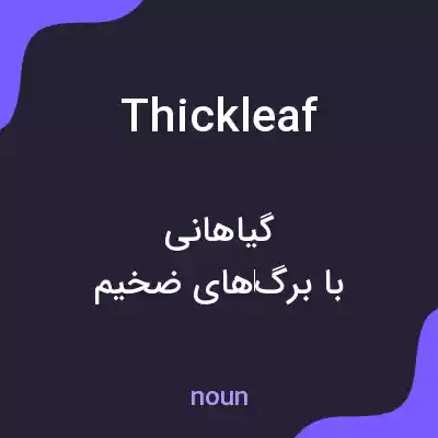 معنی thickleaf به فارسی معنی thickleaf به فارسی