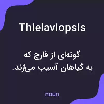 معنی thielaviopsis به فارسی
