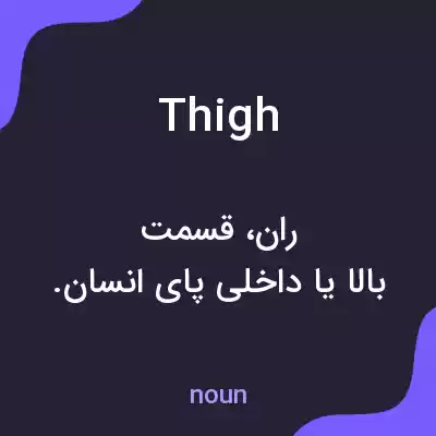 معنی thigh به فارسی معنی thigh به فارسی
