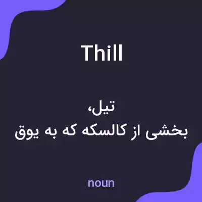 معنی thill به فارسی معنی thill به فارسی