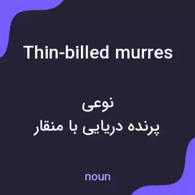 معنی thin-billed murres به فارسی معنی thin-billed murres به فارسی