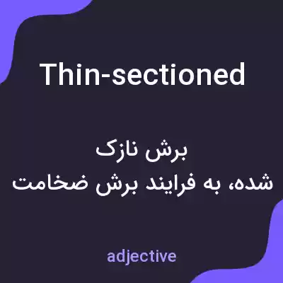 معنی thin-sectioned به فارسی معنی thin-sectioned به فارسی