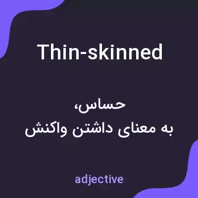 معنی thin-skinned به فارسی معنی thin-skinned به فارسی
