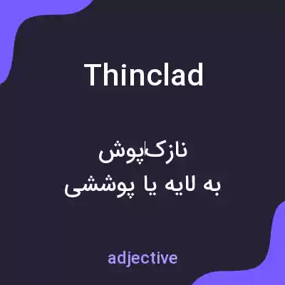 معنی thinclad به فارسی معنی thinclad به فارسی