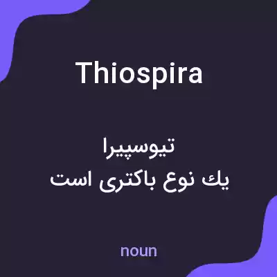 معنی thiospira به فارسی