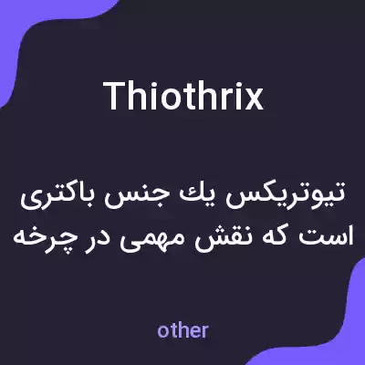 معنی thiothrix به فارسی معنی thiothrix به فارسی
