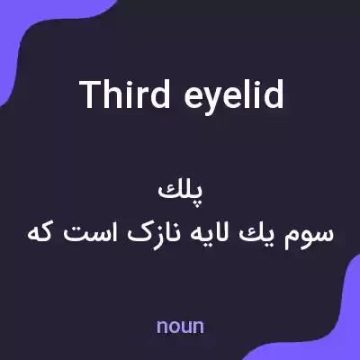 معنی third eyelid به فارسی
