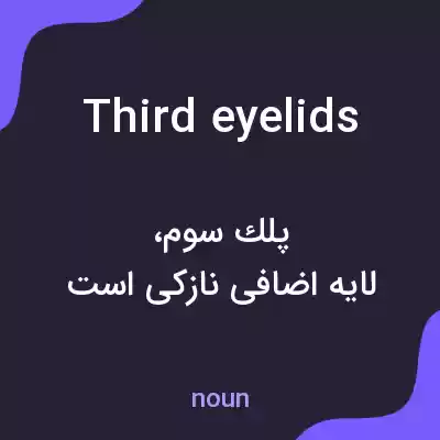 معنی third eyelids به فارسی معنی third eyelids به فارسی
