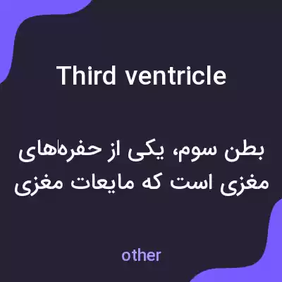 معنی third ventricle به فارسی معنی third ventricle به فارسی