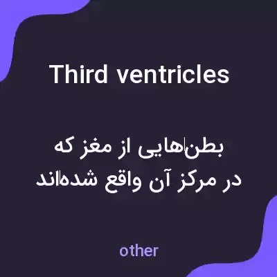 معنی third ventricles به فارسی معنی third ventricles به فارسی