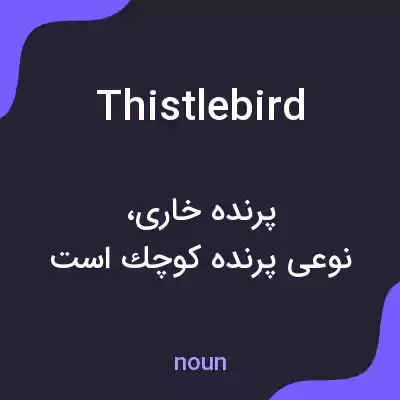 معنی thistlebird به فارسی معنی thistlebird به فارسی