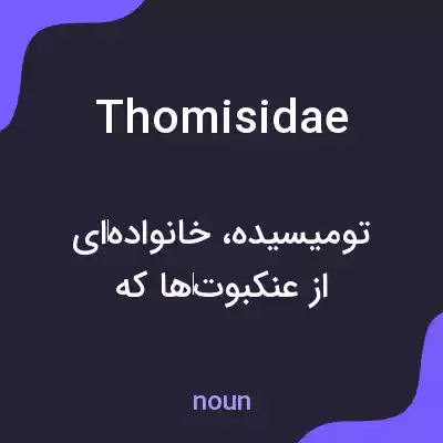 معنی thomisidae به فارسی