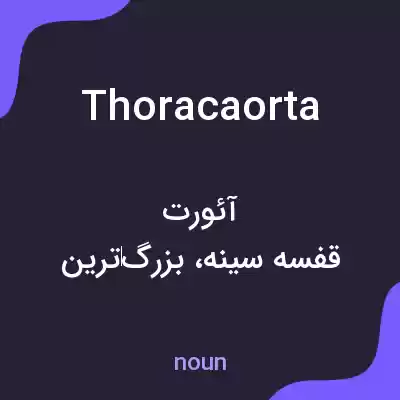 معنی thoracaorta به فارسی