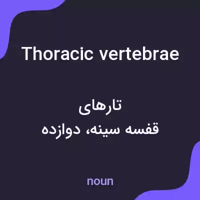 معنی thoracic vertebrae به فارسی معنی thoracic vertebrae به فارسی